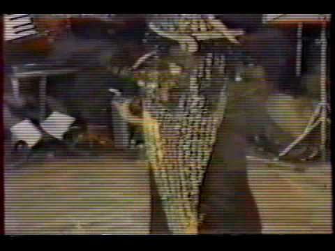 Nadia Gamal Zills Assaya In Bedouine Style 1 2 نادية جمال 