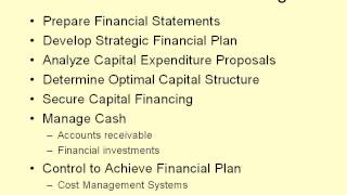 Video 1 finance and the financial manager