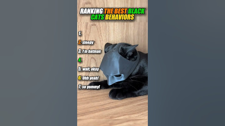 Ranking the best black cats behaviors #shorts