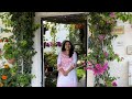 Home gardening  simi pauls garden in doha  qatar  garden tips 