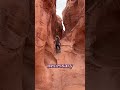 Wait Until The End Lol Wait Until The End Lol