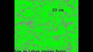 Möhre - 20 cm , nie im Leben kleiner Peter chords