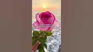 سورة الناس #احمد_العجمي #قران_كريم