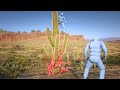 NPCs Fight Each other with Euphoria Ragdoll Physics RDR2 NPC WARS #187