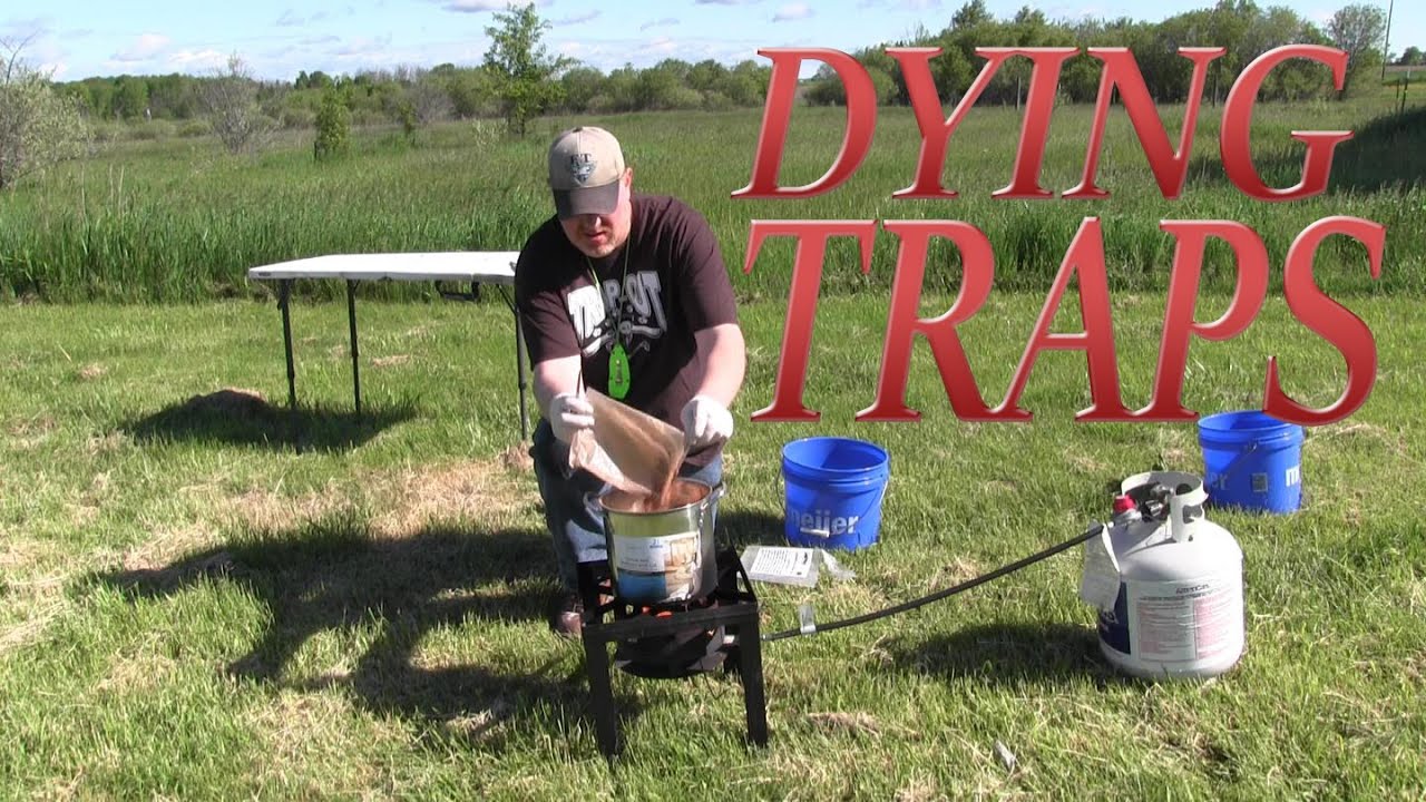 Trap Preparation - Logwood Trap Dye - Snare Dip - Trap Wax