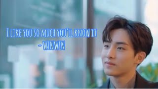 [FMV] Winwin - I Like You So Much, You'll Know It (A Love So Beautiful)