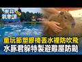 童玩節防颱出奇招！塑膠椅「通通丟水裡」防吹飛 卡皮巴拉水豚「緊急避難」！園方特製避難屋防強風雨｜巴威颱風最新【東森氣象讚】