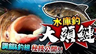 【釣大頭鰱獨門密技公開!!調製黃金比例餌料&amp;模擬餌料在水庫中 ... 