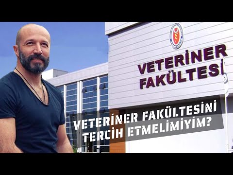 Video: Veterinerinizle Konuşmak Zor Mu? Bu Senin Hatan Değil