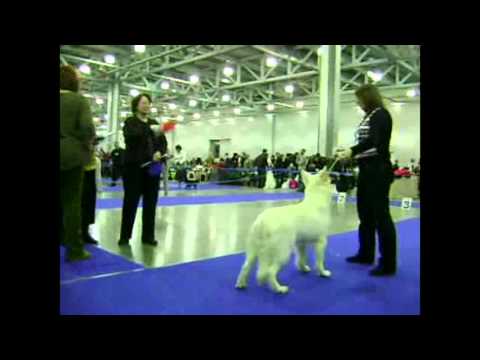 Выставка Евразия-2011