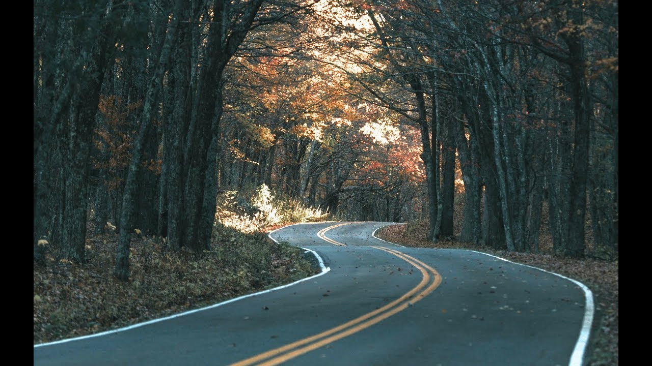 [No Copyright Sound] Soundtrack, Epic [ FREE USE MUSIC ] - Scott Buckley - Inbound