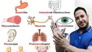 Medical Terminology 2023 (3) - (3) كورس مكثف في المصطلحات الطبية