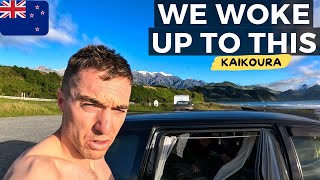 This Is What THEY DON'T TELL YOU About Kaikōura! Road Trip From Blenheim, New Zealand