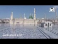 غازلتها فتبسمت فرمى الفؤاد بحبها غازلتها فتبسمت فرمى الفؤاد بحبها