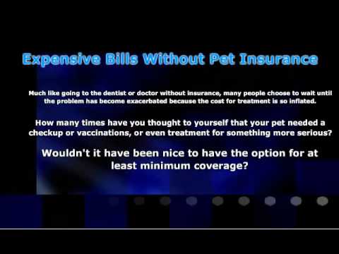 ASPCA Pet Insurance Reviews
