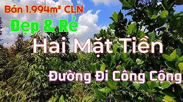 Đất Vườn 2 Mặt Tiền Giá Rẻ - Điện Nước Đầy Đủ tại Tiền Giang