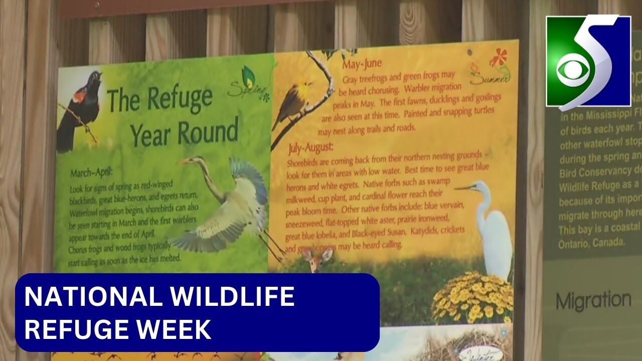 National Wildlife Refuge Week recognized at Saginaw Co. refuge