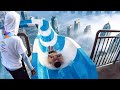 Top 10 LONGEST Waterslides In The WORLD