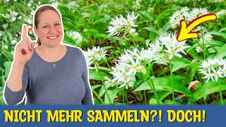 Bärlauchblüten einlegen: Das lohnt sich! 😃