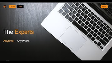 The Experts - CS50x Final Project Web App