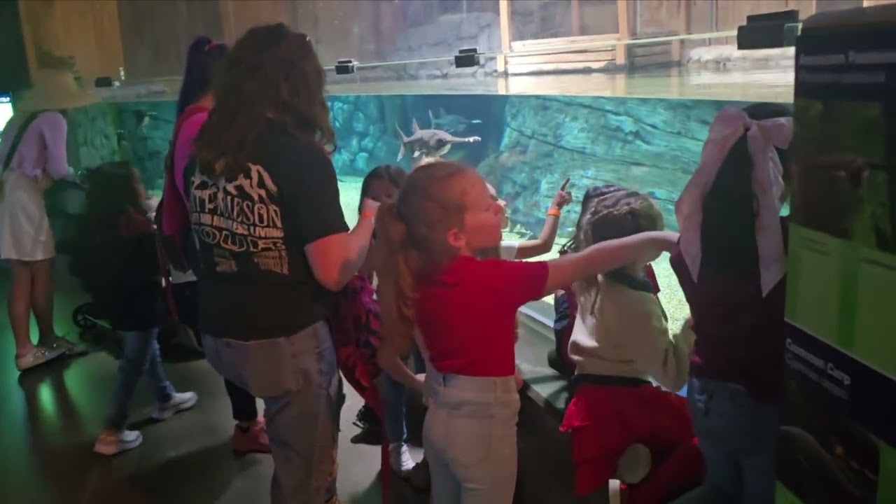 OdySea Aquarium---Scottsdale, Arizona February 27, 2026