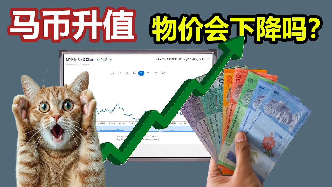 美金 对 马 币 走势 2024 (99) 사진