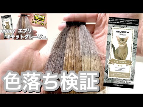 色落ち検証】エブリ キャットグレージュの色落ちについて検証してみ