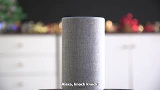 What does your Amazon Alexa know about you