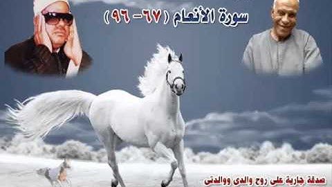 الشيخ / عنتر سعيد مسلم $ سورة الأنعام (67-96)(لكل نبإ مستقر وسوف تعلمون) رااائعة جدااا