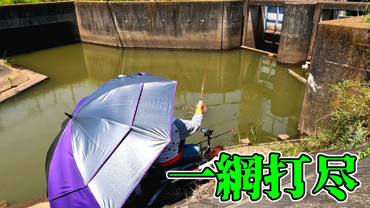 柴山沼が吐いた水の終着地点には巨べらが大量にいるはず