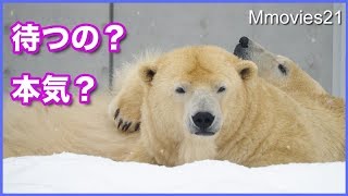 ララとリラが目覚めるまで待とう・・そう決めました