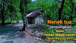 Bagai tempat pengasingan Rumah Lansia dalam hutan Magersaren Bojonegoro hidup sebatang kara.