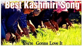 Tejh Kaads Kar Jal Jal Boi Aami Bare Bare Nadas