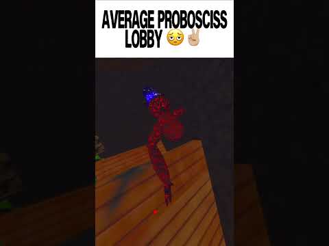 Average Probosciss lobby 🫩✌🏼