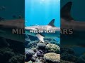 Sharks Are Older Than Trees. Wait, That's Real #Shorts