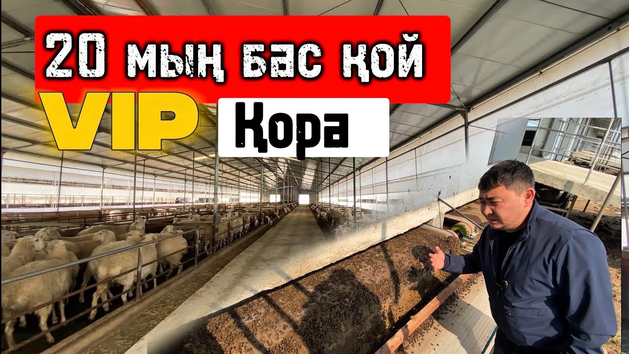 5 жұлдызды ҚОЙ ҚОРА ( 5 Звездочная Овцеферма)