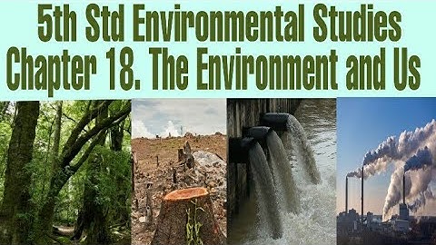 5th standard EVS chapter 18 the environment and us l easy explanation in marathi