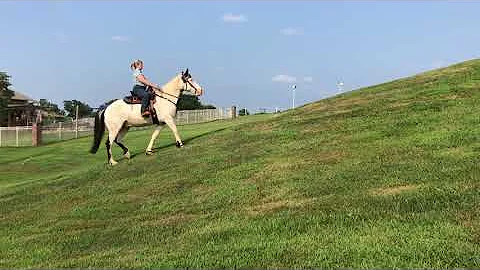 Heather Kunz + Medicine Man Novice Walk Uphill