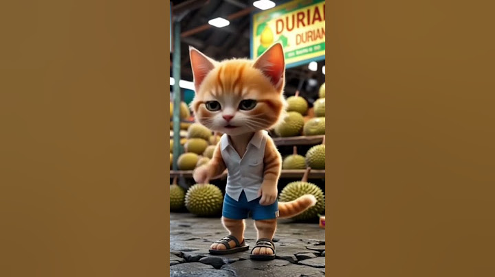 น้องหิวทุเรียน #ขำๆ #ฟีด #ทาสแมว #น้องแมวน่ารัก