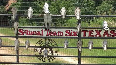 Three more hogs taking a dirt nap with Squeal Team Six Texas!