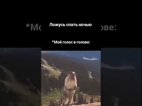 #мем #врек #вреки #врекпж #врекомендации #взаимнаяподписка #тикток #тренды #жиза