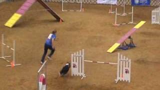 Solar - 2010 AKC Nationals ISC STD