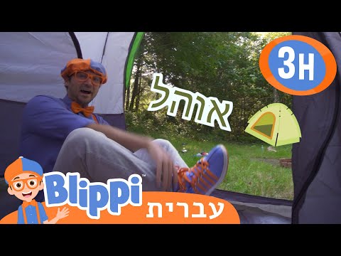 וִידֵאוֹ: פעילויות כדי לפנות למבקרים הקטנים ביותר מאירלנד