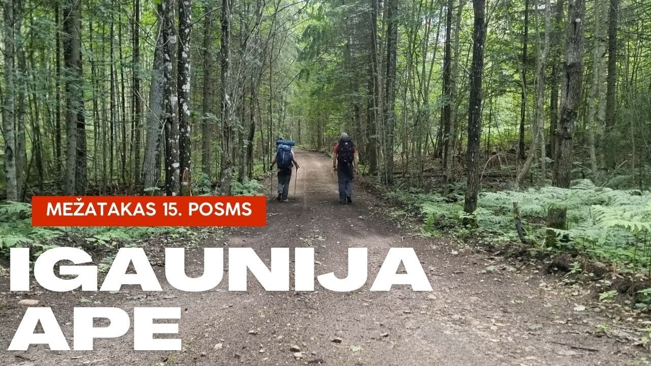 Ar kājām pa Latviju! Mežtaka 15. posms Igaunijas robeža - Ape.
