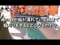 雨が降っている時や濡れている時に稲刈りをするとどうなるか？