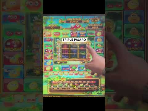 Golden Dragon | Joker slot สล็อตน่าเล่น สล็อตแตกดี