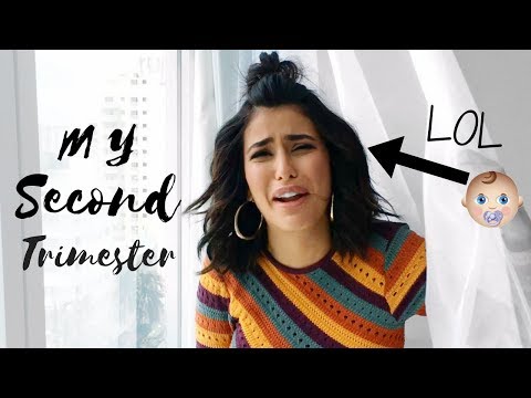 My Second Trimester of Pregnancy | Weeks 12-28 VLOG