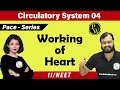 Circulatory System 04 | Working of Heart | Class 11| NEET | PACE SERIES
