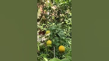 جمعة مباركة #دعاء_يوم_الجمعة #خليك_في_البيت #سورة_الكهف #جمعة_مباركة