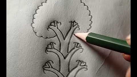 “How to Draw a Beautiful Tree With V Letter  | Easy Tree Drawing Tutorial Step by Step”